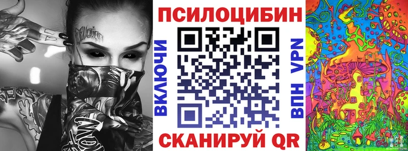 Псилоцибиновые грибы Cubensis  магазин    Калининград 